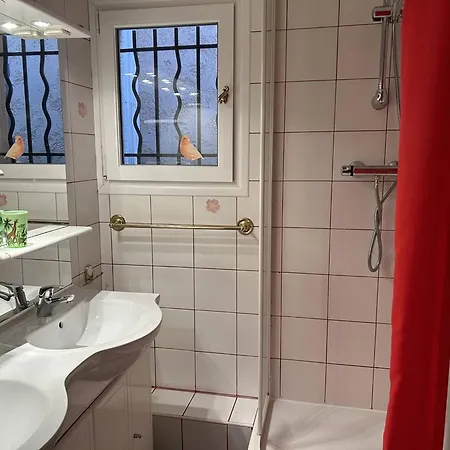 Hébergement de vacances 5 Pièces Avec Piscine Privée Près De La Au Lavandou - Fr-1-251-852 Le Lavandou